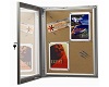  snapper mantar zeminli showboard 