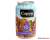  cappy karisik 330ml meyve suyu 